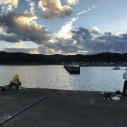 まさかテンヤでハマチ