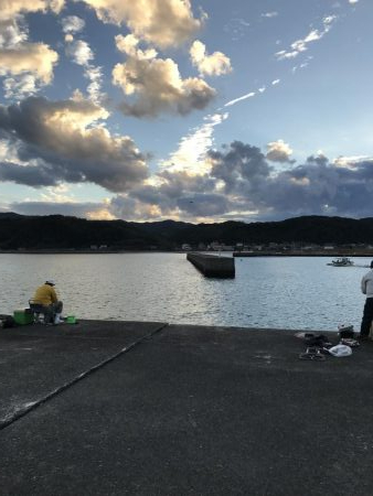 まさかテンヤでハマチ