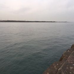 そこそこあたりあり