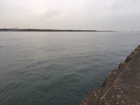 そこそこあたりあり