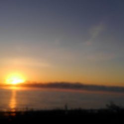 いかさんも大変だ！？