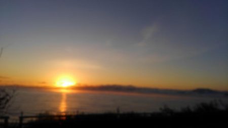 いかさんも大変だ！？