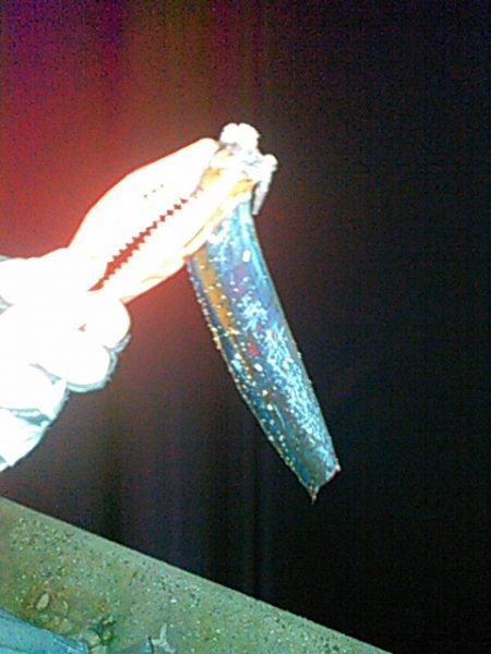 タチウオ、アジ