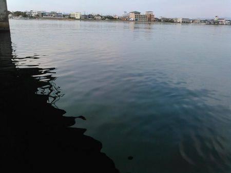 浜名湖シーバス デイゲーム