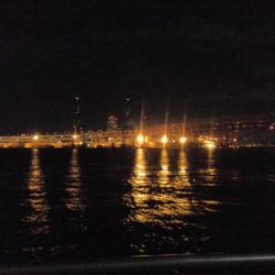 タチウオ細くない?