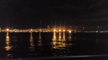 タチウオ細くない?