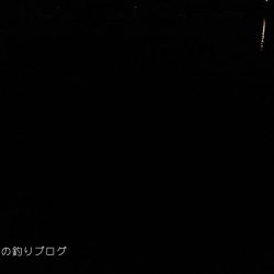 家族でちょいサビキ