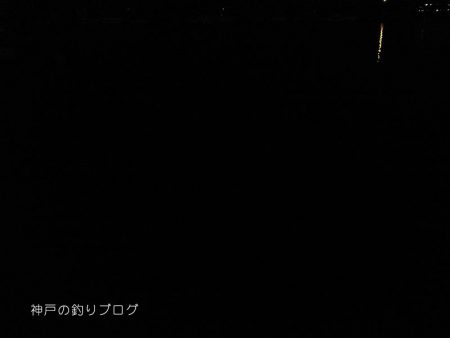 家族でちょいサビキ