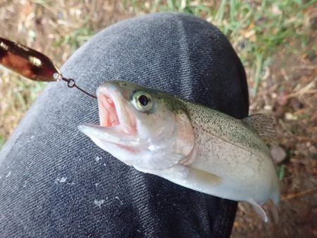 フィッシャーリゾート庄原