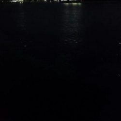 タチウオ最終エリア調査