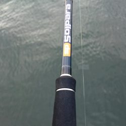 南港タチウオ いつ回復するの！？