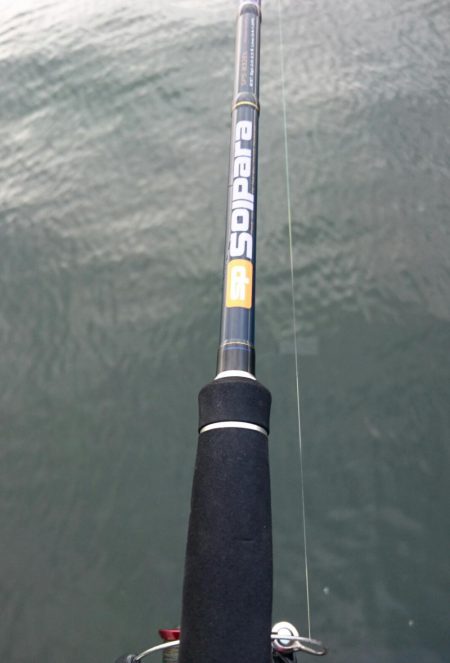 南港タチウオ いつ回復するの！？