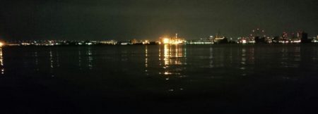 南港エリア タチウオ回復か！？