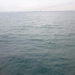 貝塚人工島タチウオ&青物遠征