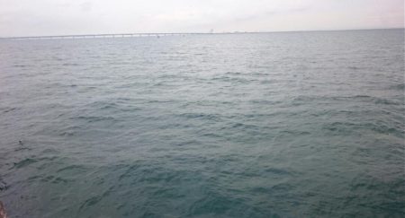 貝塚人工島タチウオ&青物遠征