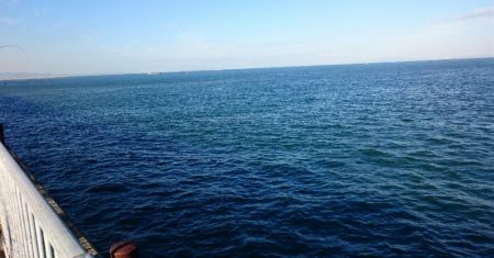 泉大津エリア タチウオ釣果