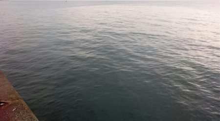 大阪湾タチウオ終了なん!?