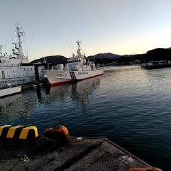 太刀魚大漁でした!!