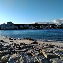 キビレ釣れました!!