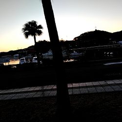 メッキが釣れましたね!!