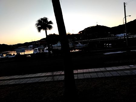 メッキが釣れましたね!!