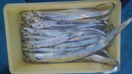 海南発の遊漁船「釣り心」さんで太刀魚ジギング