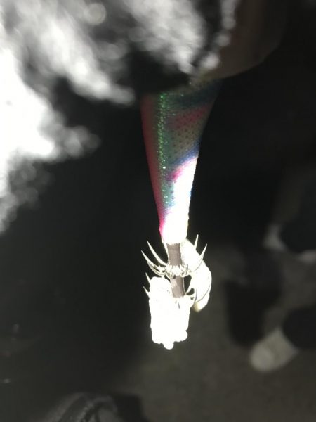 状況激シブの中エギングでアオリイカin北西風の中紀