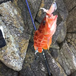 渡船でショアジギング