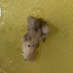 本格的に寒くなって参りました