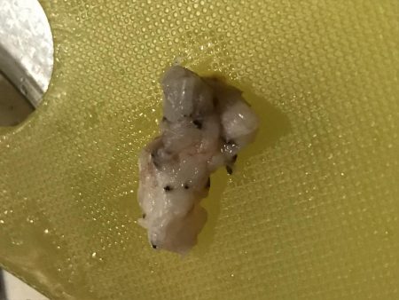 本格的に寒くなって参りました