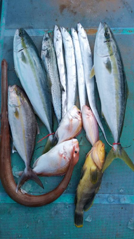 レンタルボートジギング&タイラバ