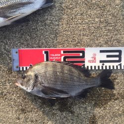 今週の釣果報告！11月10日（土）