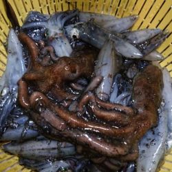 めっちゃ渋い(>_<)