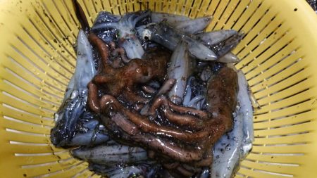 めっちゃ渋い(>_<)