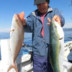 青物釣り