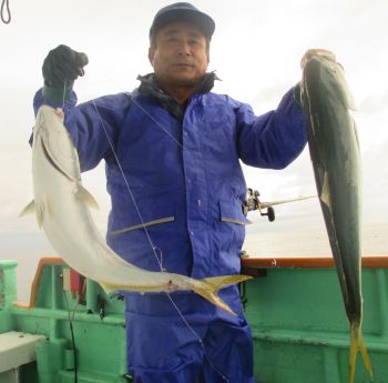 青物釣り