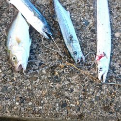 今日はいい日だった