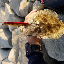 ボチボチな釣果