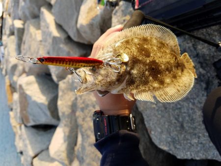 ボチボチな釣果