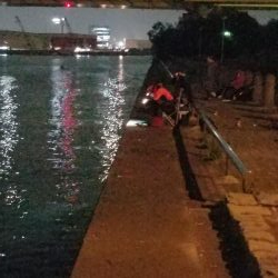 ボチボチな釣果