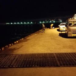 しっぶしぶな釣果