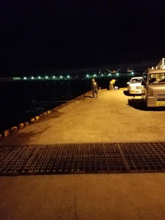 しっぶしぶな釣果