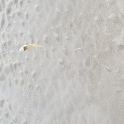 日の出と、共に