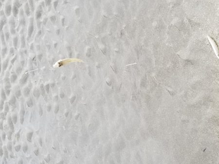 日の出と、共に