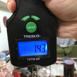 マダコ キロオーバー