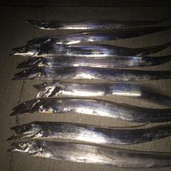 よく釣れてくれました！