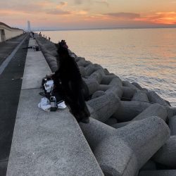 シーズン終盤突入