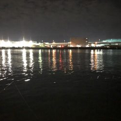 タチウオその他