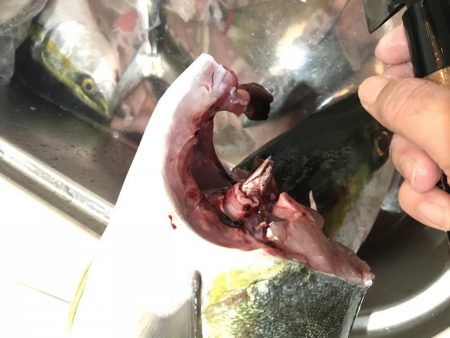 久々の釣ーリング!!