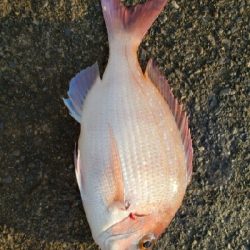 潮は動かないけど。